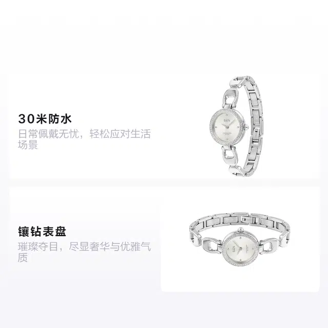 COACH PARK 30 14503170