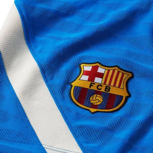 Nike Dri-FIT ADV Logo
