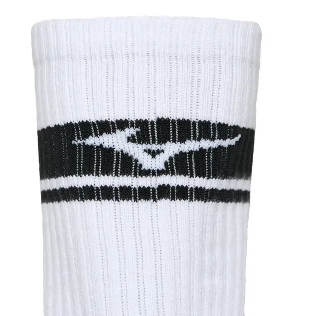 Mizuno STRIPE CUSHION SOCKS 1