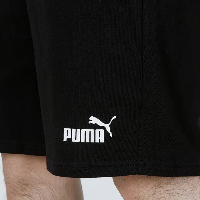 Puma Power Logo