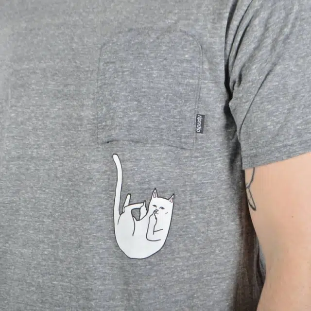 RIPNDIP T