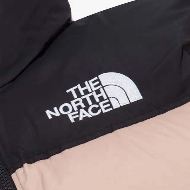 THE NORTH FACE 1996Nuptse ECO