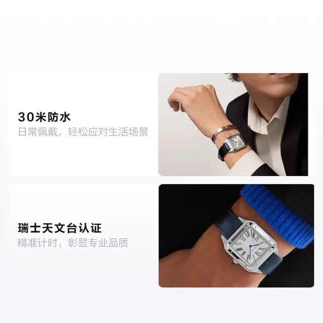 CARTIER 30 46.6mm 46.6*33.9mm WSSA0032