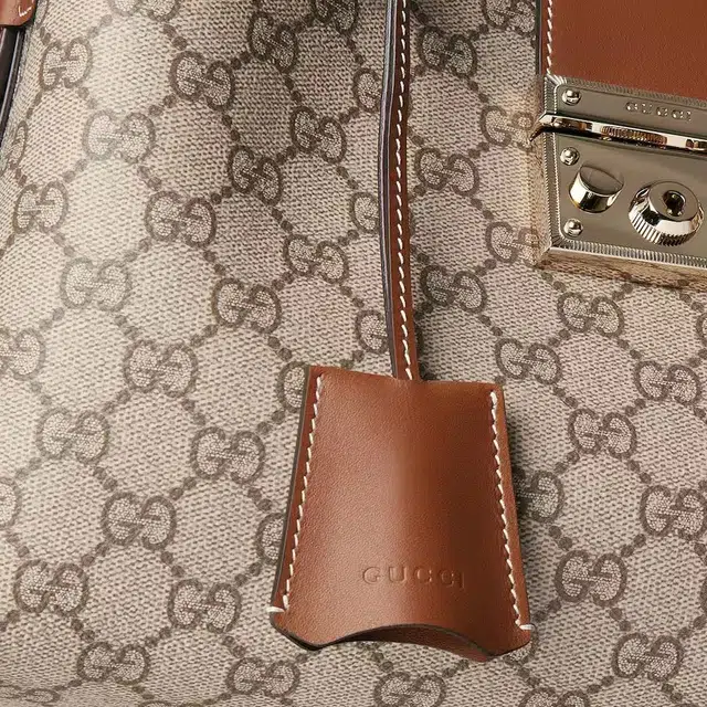 GUCCI Padlock