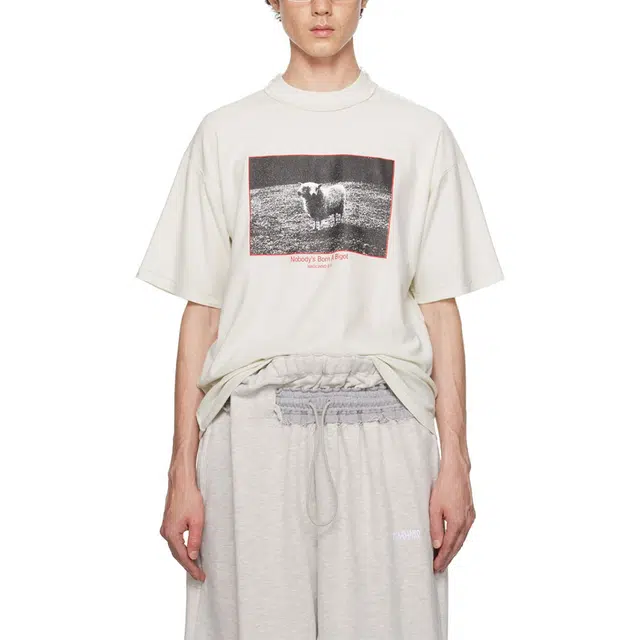 Magliano T