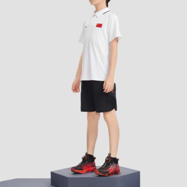 LogoPolo