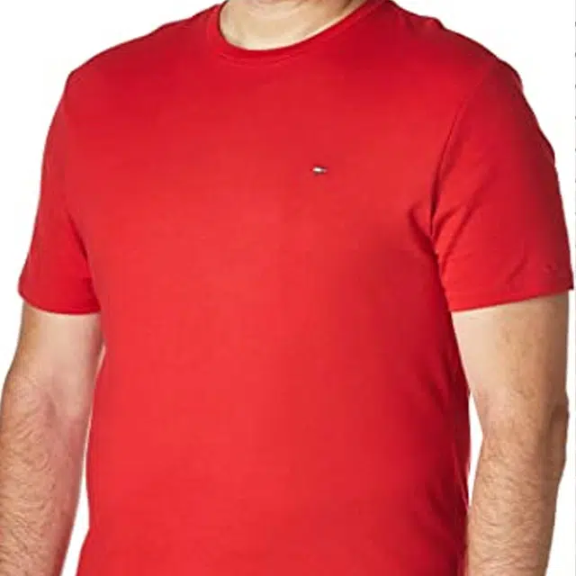 Tommy Hilfiger SS23 T