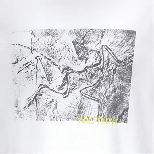 Arcteryx KRAGG SS25 COTTON LITHOGRAPHICA logoT