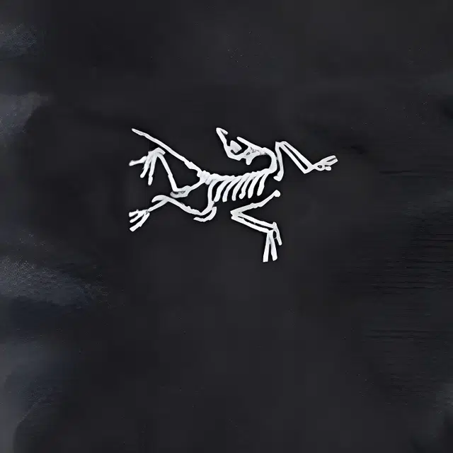Arcteryx ION CHALK