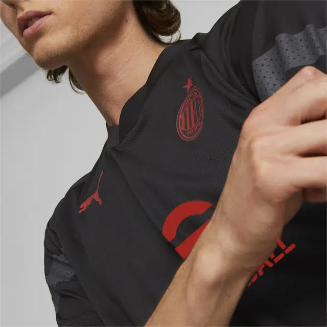 PUMA 2223AC