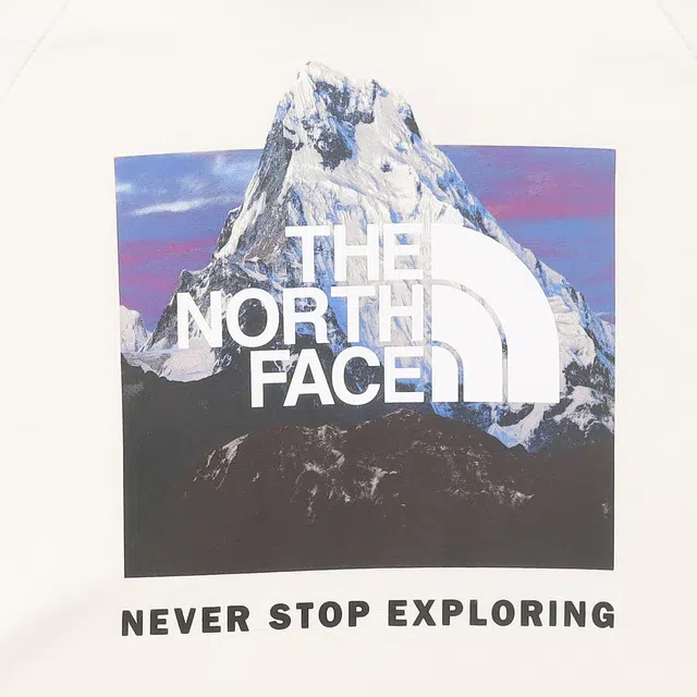 THE NORTH FACE W BOX NSE PO HDIE Logo