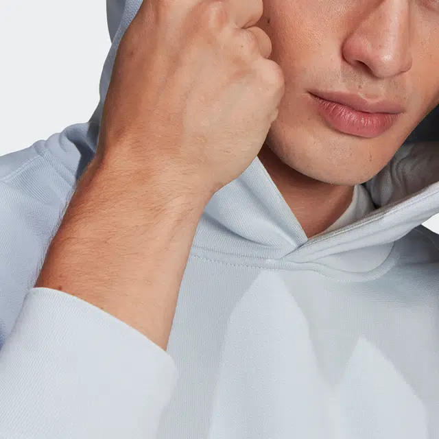 adidas originals Premium Hoody