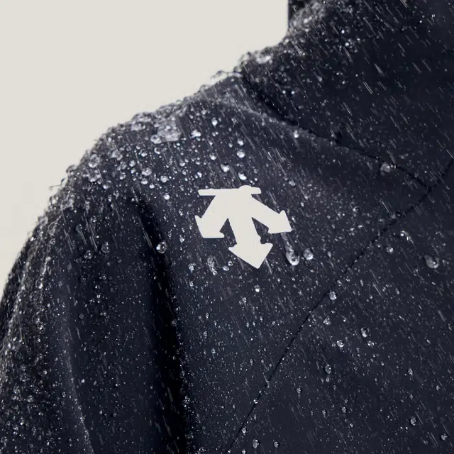 DESCENTE SKI STYLE Logo 2