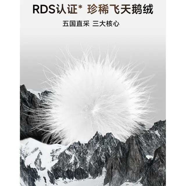 高梵 时尚宽松潮流纯色洋气百搭羽绒服 中小童