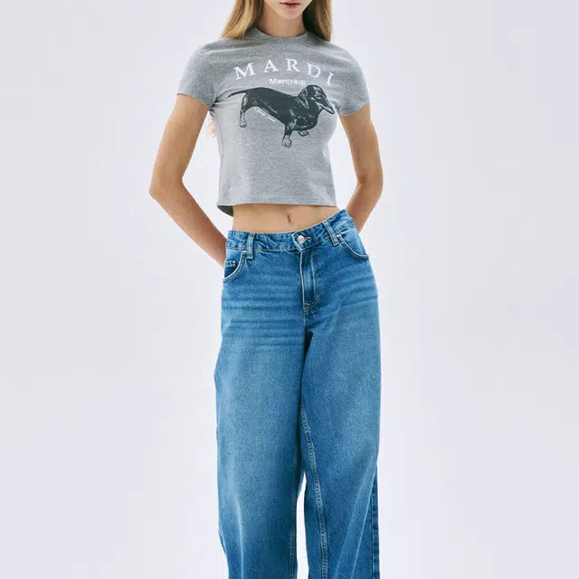 MARDI MERCREDI CROPPED TSHIRT DDANJI_GREY WHITE SS25T