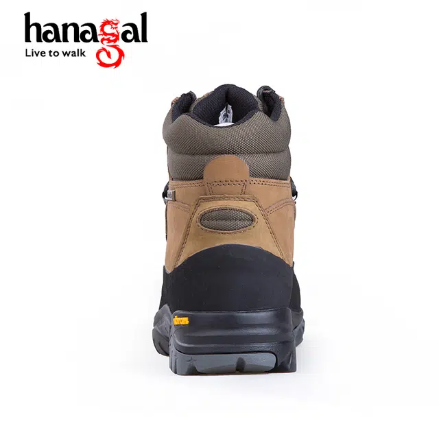 hanagal