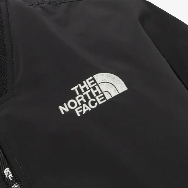 THE NORTH FACE HAYDEN EX HEAT BOMBER Logo
