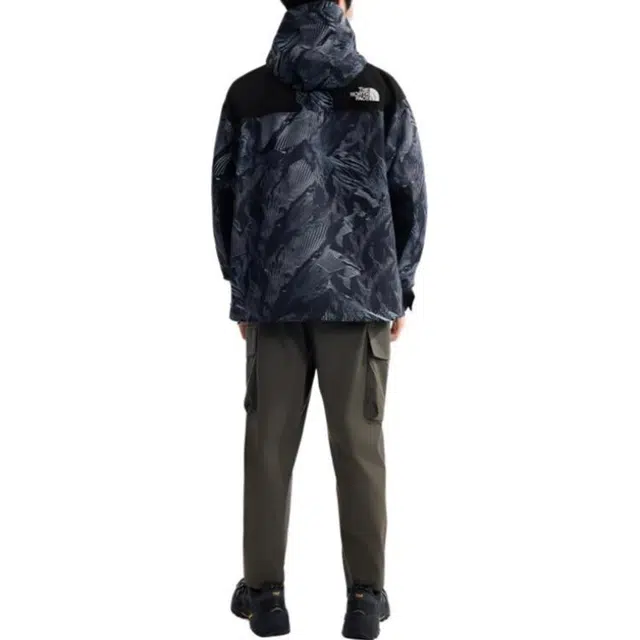 THE NORTH FACE ICON