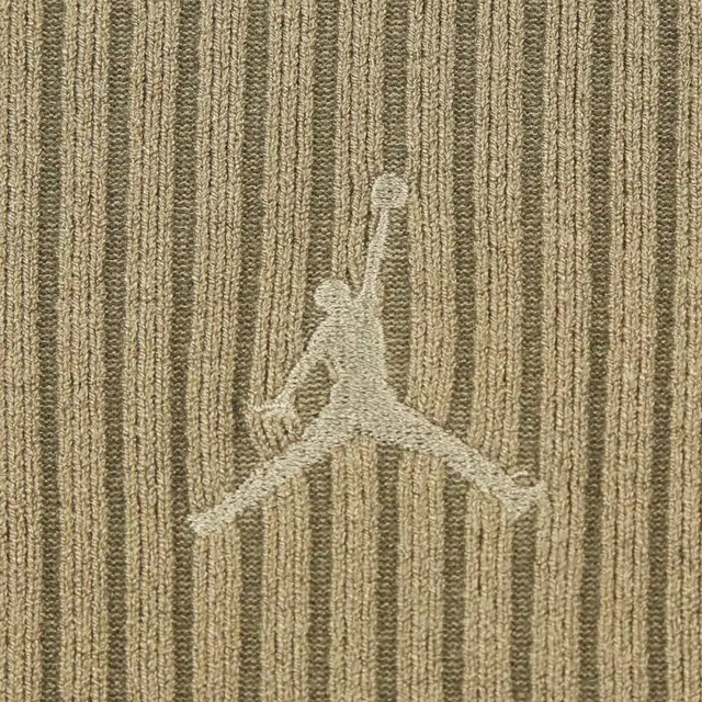 Jordan AS W J FLT HD FZ logo