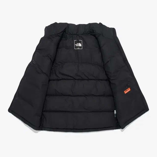 THE NORTH FACE PUFFY EX ON BALL