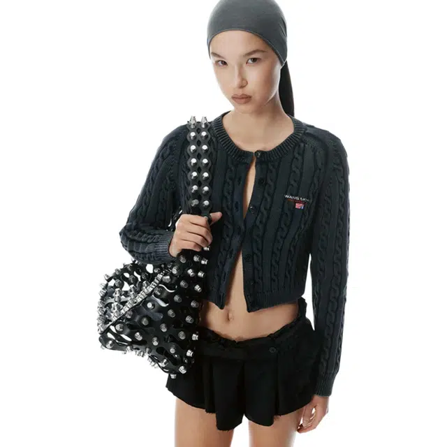 alexander wang SS25 Logo