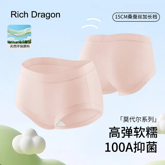 Rich Dragon 100A
