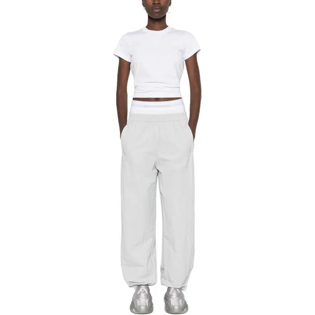 alexander wang T