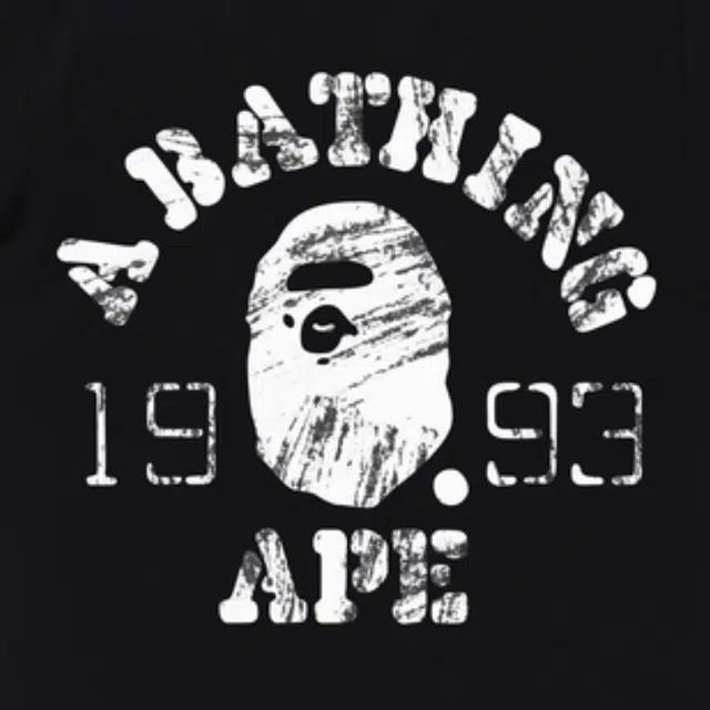 A BATHING APE FW24 T
