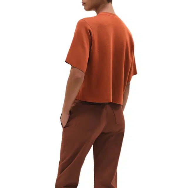 HERMES Logo T