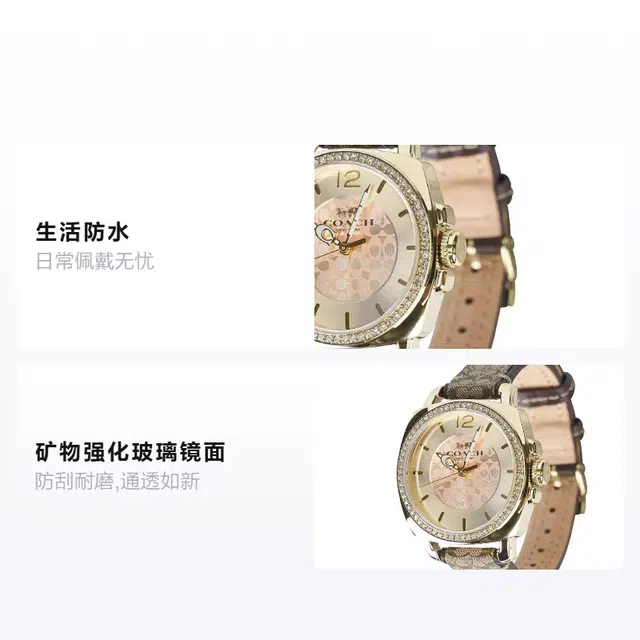 COACH Boyfriend 14502509