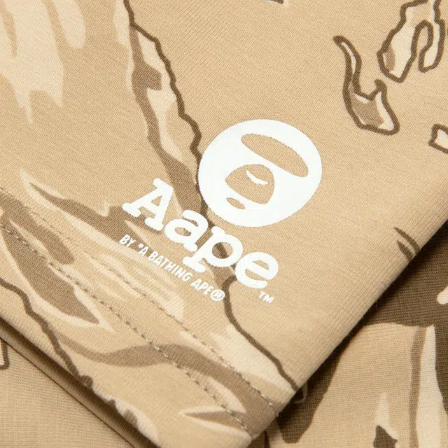 Aape 1