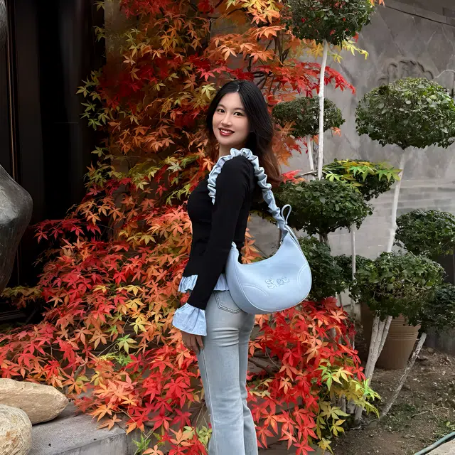 Lee Billow Cloud Bag ins