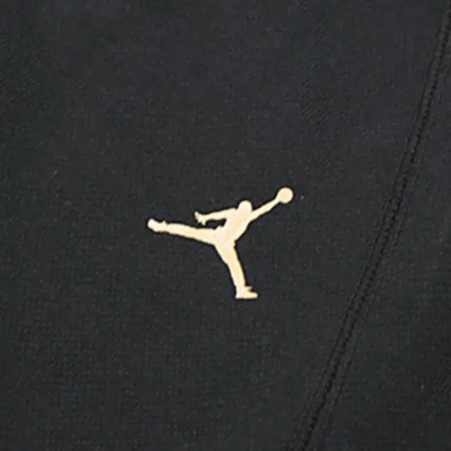 Air Jordan Logo