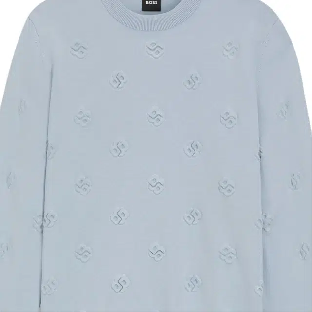 HUGO BOSS B