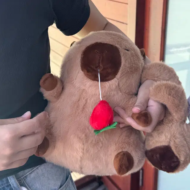 27cm