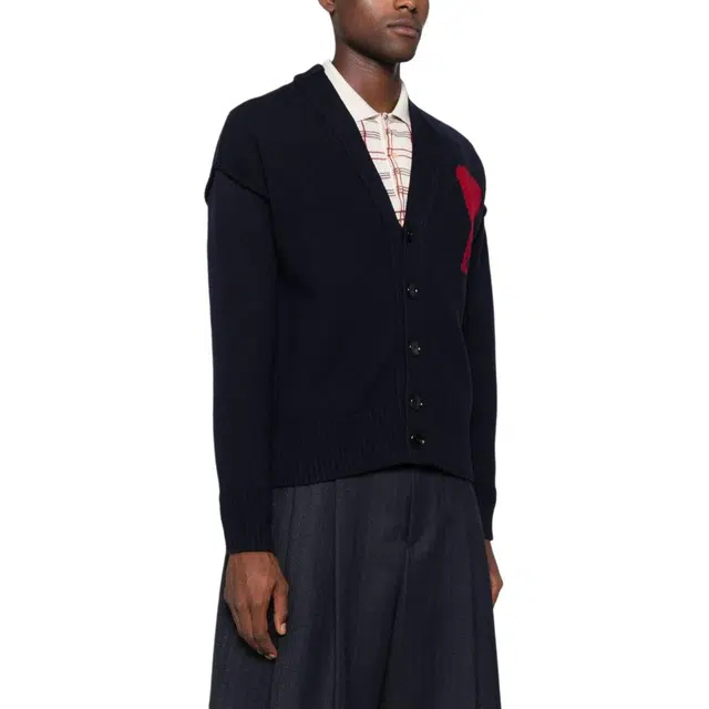 AMIPARIS V