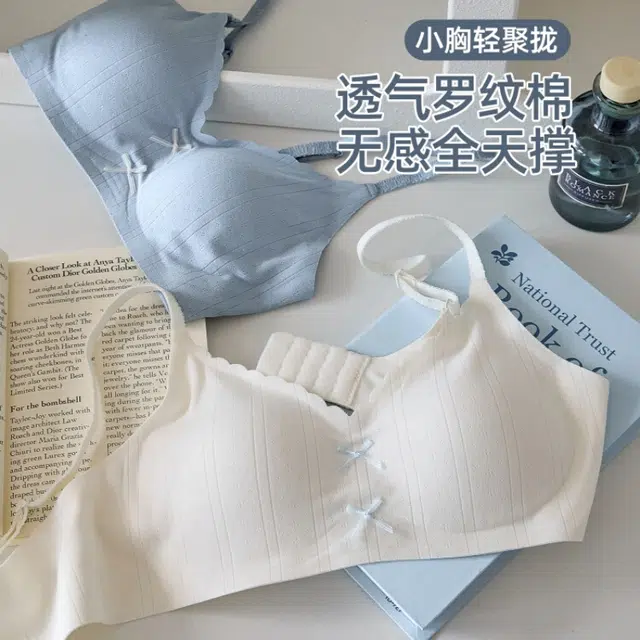 艾诗塔 小胸聚拢纯欲蕾丝甜美文胸少女无钢圈舒适收副乳防下垂蝴蝶结学生透气美背日系薄款内衣 女款