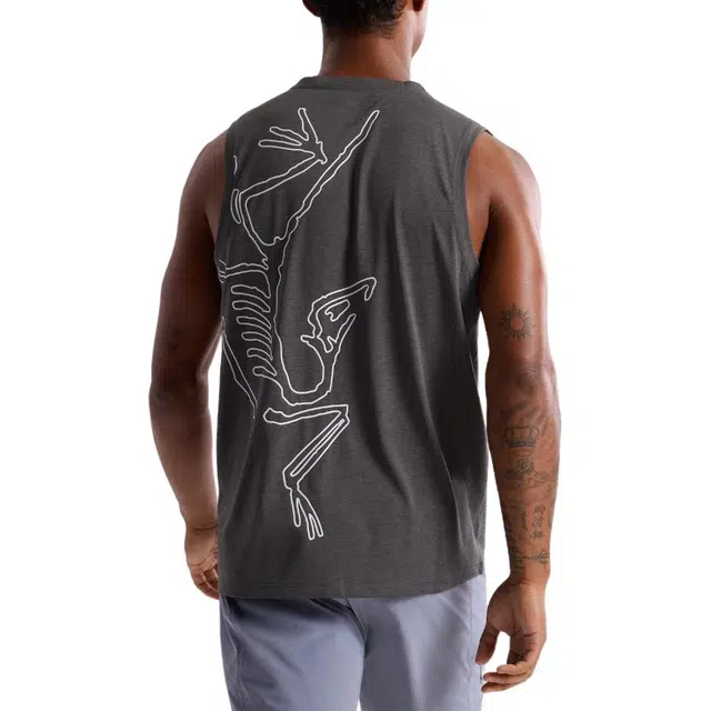Arcteryx CORMAC Arc'Bird logo