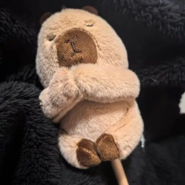 39cm
