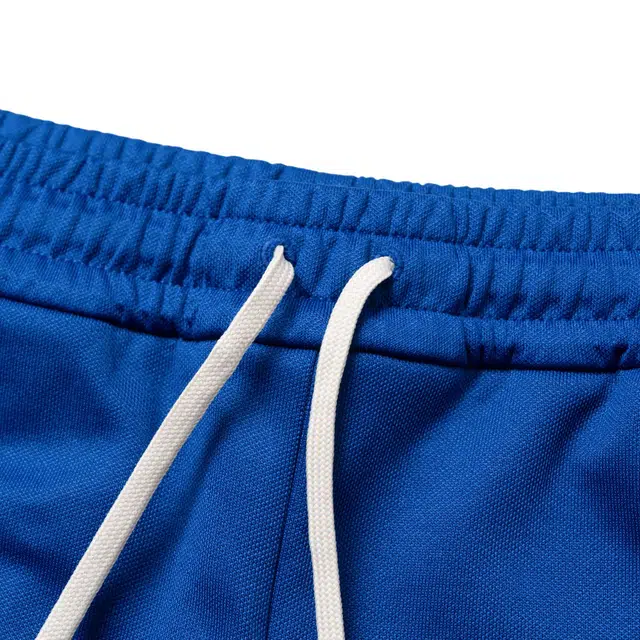 GUCCI x adidas Originals Logo Jogger Pants Blue