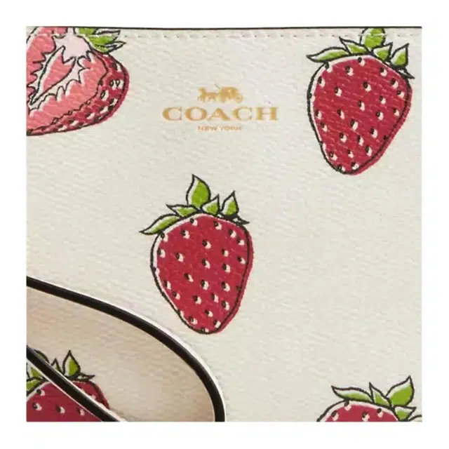 COACH Corner Zip 16