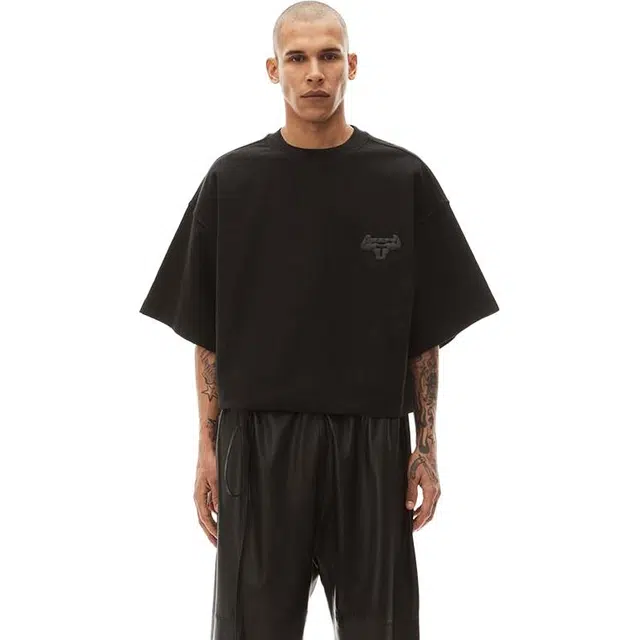 alexander wang T