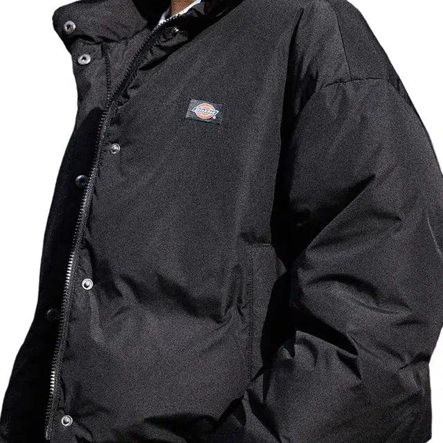 Dickies DK0A87CABLK