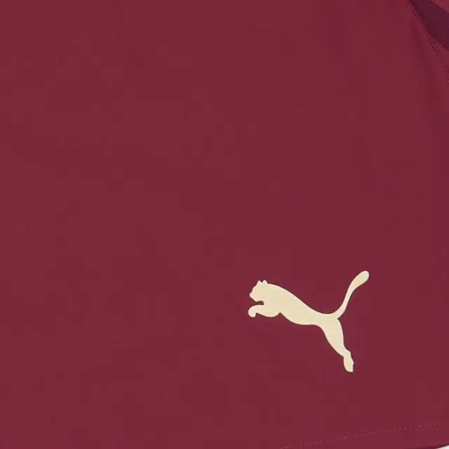 PUMA Manchester City 2024-25 logo