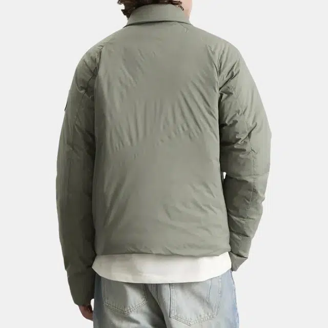Canada Goose