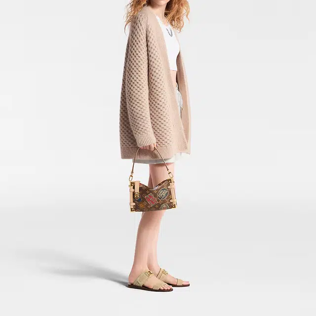 LOUIS VUITTON Trunk Side Flight mode