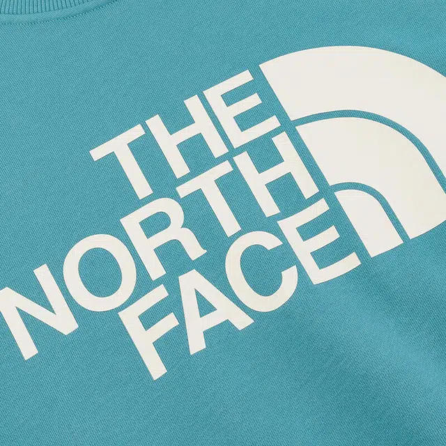 THE NORTH FACE AW24