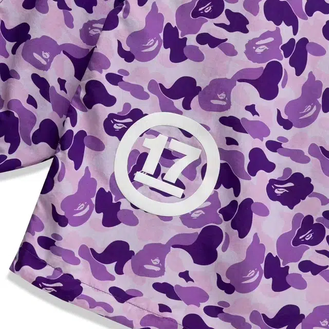 A BATHING APE SS24 17 Logo