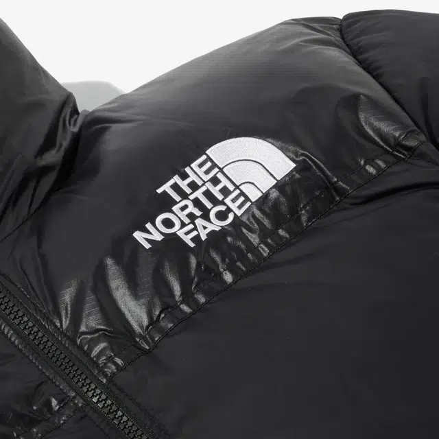 The North Face 1996 Eco Blue Nuptse Jacket