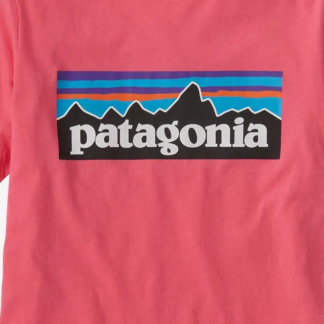 patagonia P-6 Logo T-Shirt T